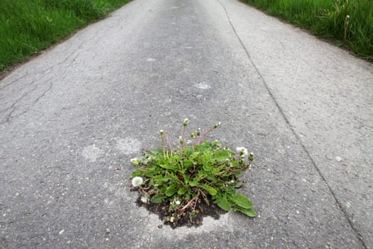 Nature wins