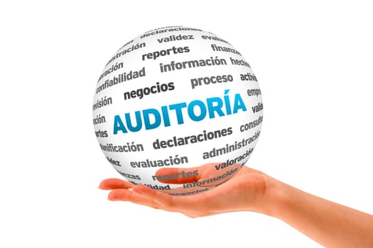 Hand holding a 3D Sphere owith Auditing related words
