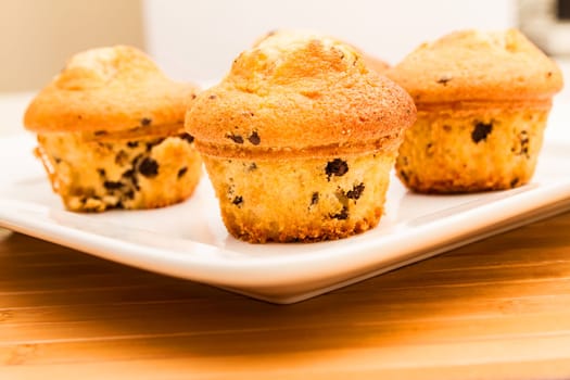 Vanilla with chocolate chips Muffins on a white plate .