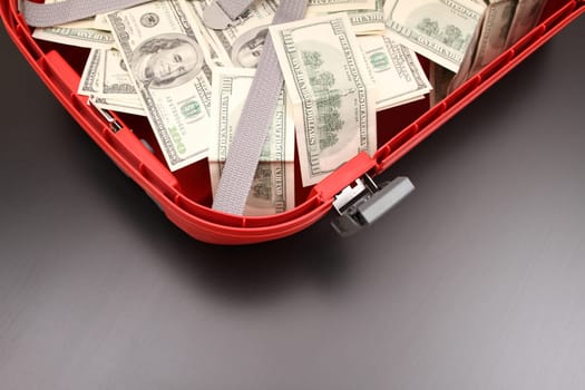 A Suitcase with lots of dollars.