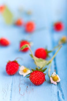 Wild strawberries
