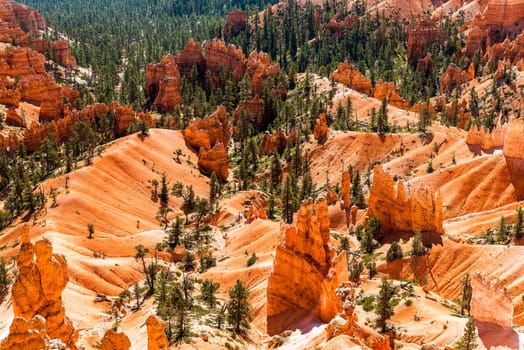 spectacular Hoodoo rock spires of Bryce Canyon, Utah, USA