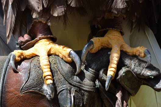 Close up of eagle talons