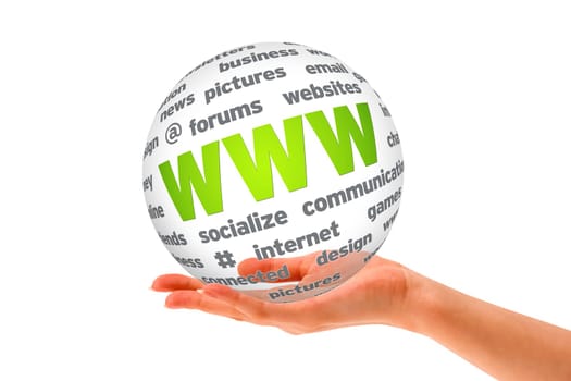 Hand holding a WWW 3D Sphere sign on white background.