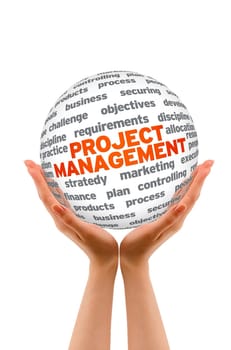 Hands holding a Project Management 3d Sphere.