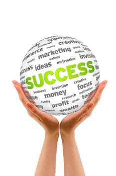 Hands holding a Success Sphere sign on white background.