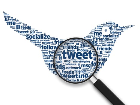 Magnifying glass with a Tweeting Bird word cloud on white background.
