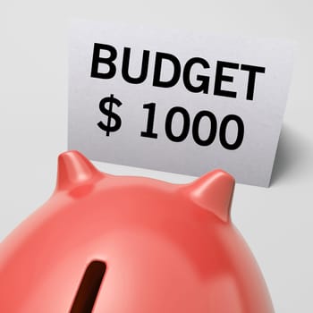 One Thousand dollars, usd Budget Shows Limitations Or Savings