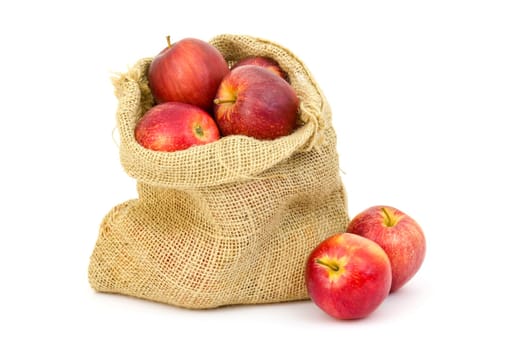 Burlap sack with apples on white background