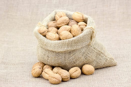 Burlap sack full of whole walnuts