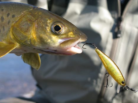 Fishing