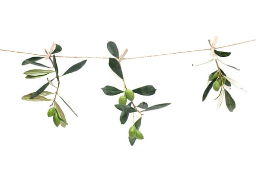 Olives
