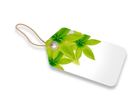 Price Tag with green floral elements on white background.