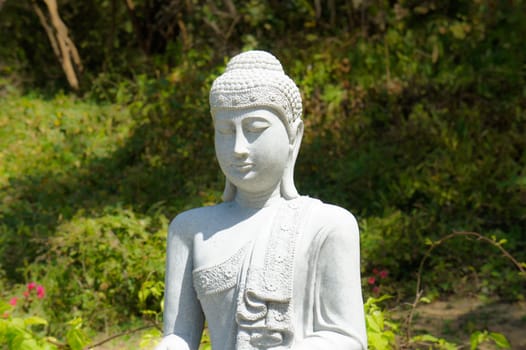 Tian Tan Buddha Statue sitting in front of a  forrest background.