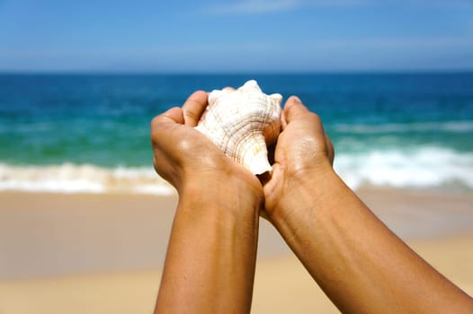 Female hands holding a seashell on a tropical beach with blue water in the background.