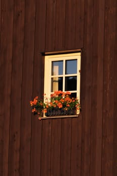 Old wooden window on brown stain wood background.