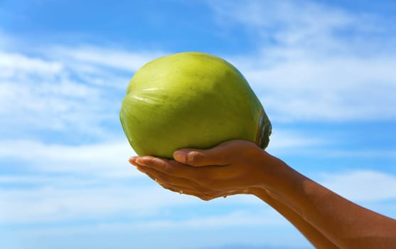 Woman holding a coconut up in the sky.