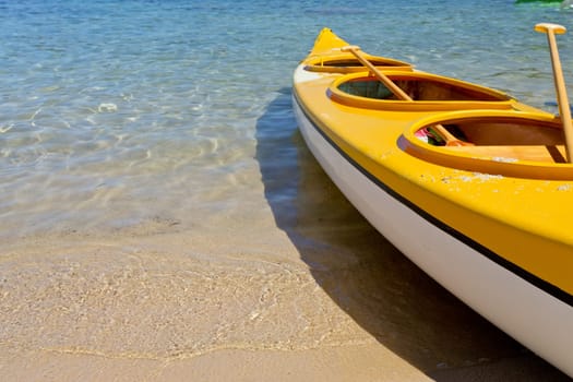 kayak