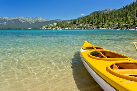 kayak
