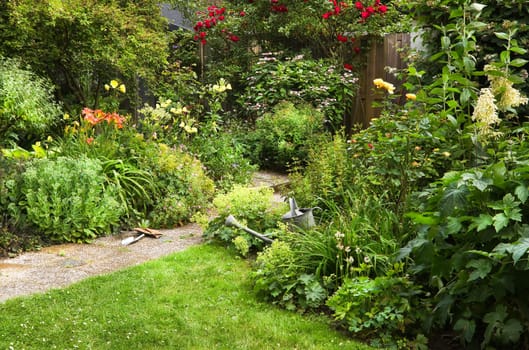 Watering-can and garden tools for cleaning blooming cottage-style garden on summer morning - horizontal