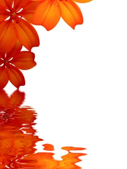 High resolution graphic of Flowers reflecting in water on white background.