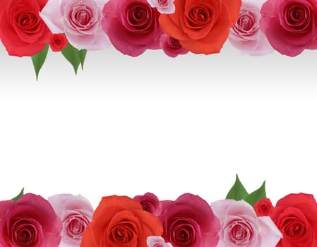 High resolution flower frame graphic.