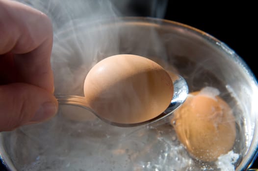 Boiled Eggs