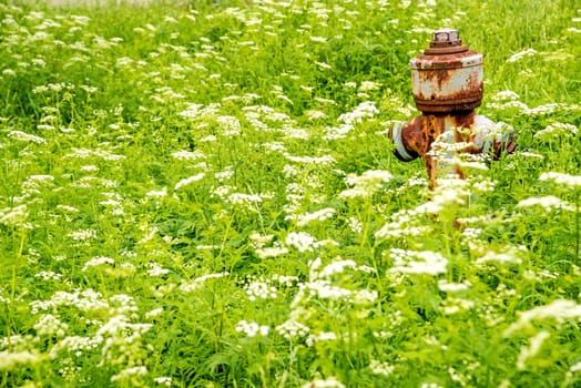 Hydrant in flower style