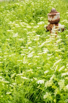 Hydrant in flower style