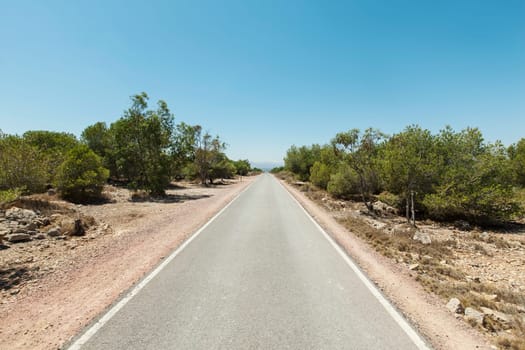 Simple country road in Spain leading into the unknown