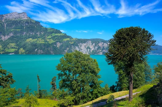 Way of Switzerland