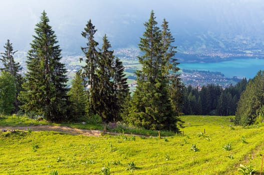 View from Breitlauenen to Lake Thun