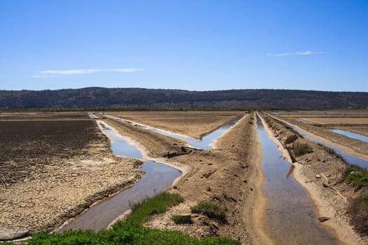 View of Salt evaporation ponds in Secovlje, Slovenia