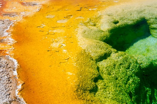 Geyser in Yellowstone National Park in Wyoming