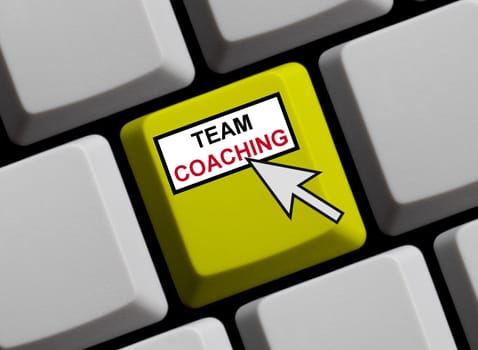 Team Coaching