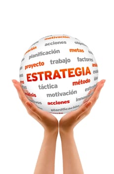 A person holding a 3D Strategy Sphere ilsolated on white.