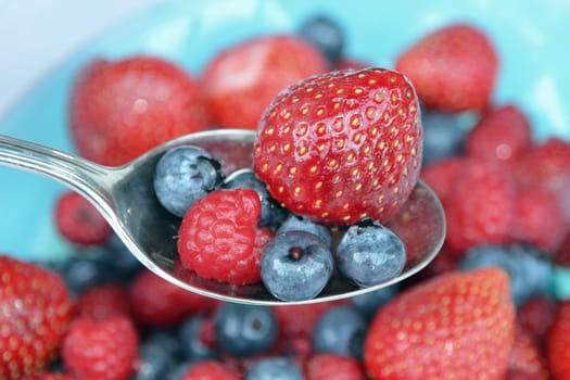 A spoonful of vitamins