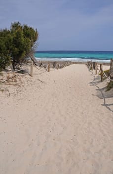 Beach in Mallorca