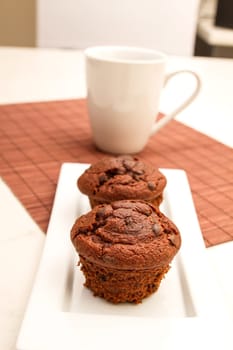 Chocolate Muffins on a white plate with  a cup of coffee.