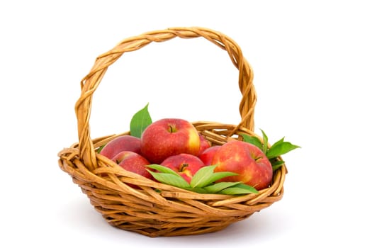 red apples in a basket on white background