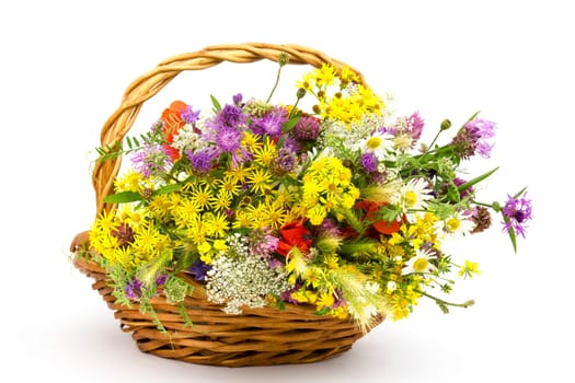 wild flowers in a basket