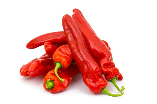 red peppers on white background