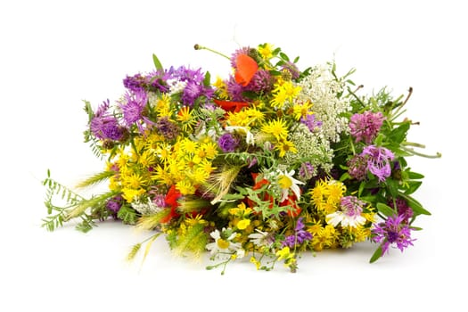 Bouquet of wild flowers isolated on white background