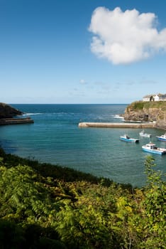 pier of Port Isaac in Cornwall