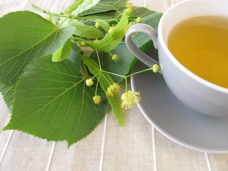Linden blossom tea