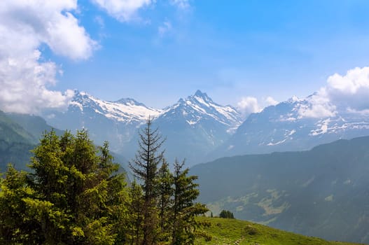 View of Wetterhorn,Schreckhorn and Finsteraarhorn