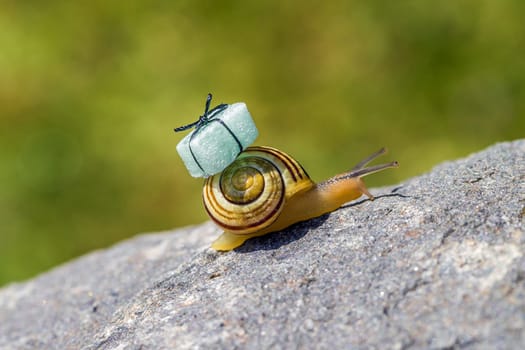 Snail mail