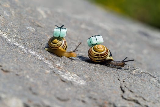 Snail mail