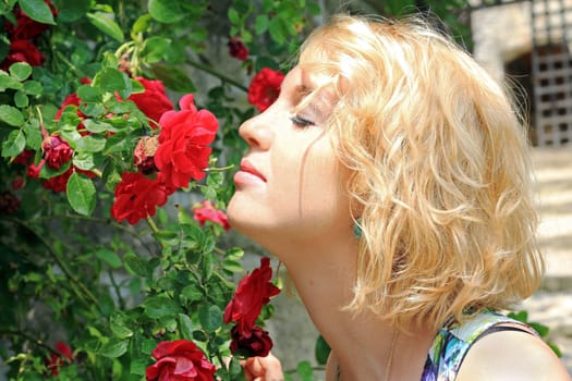 The scent of roses