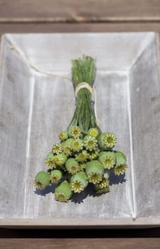 Poppy seed capsules still on the stem in a wooden bowl